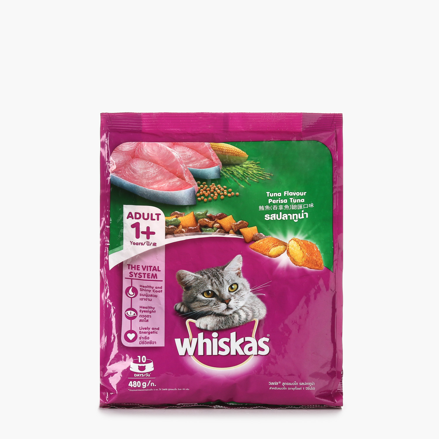 ragdoll chocolate lynx